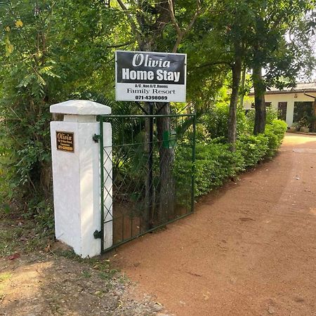 Olivia Homestay 아누라다푸라 외부 사진