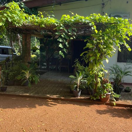 Olivia Homestay 아누라다푸라 외부 사진