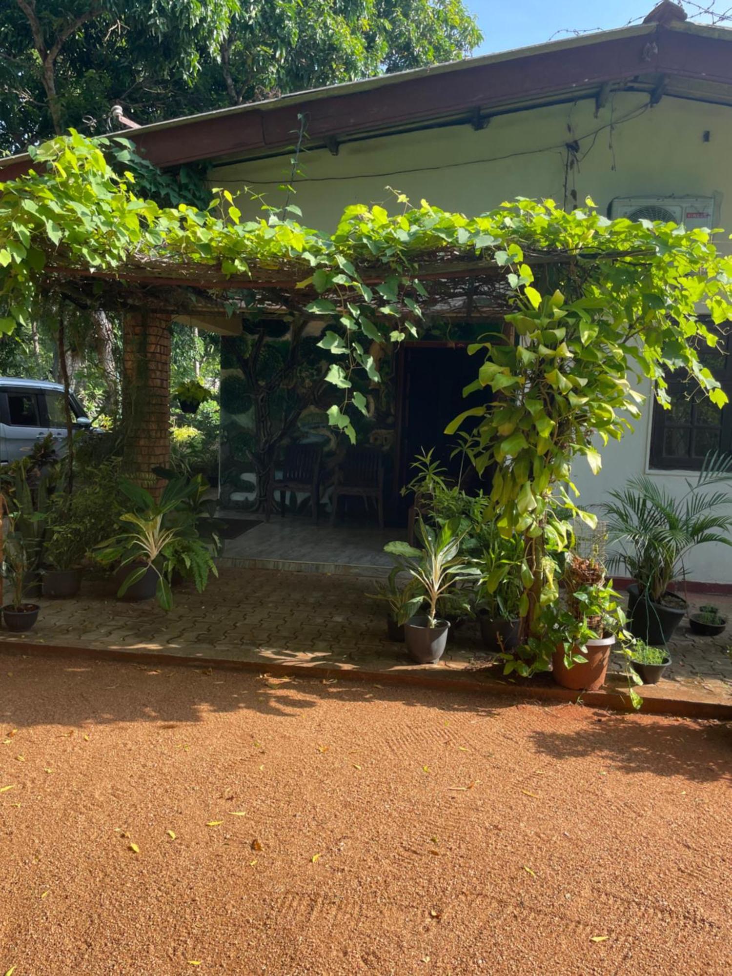 Olivia Homestay 아누라다푸라 외부 사진