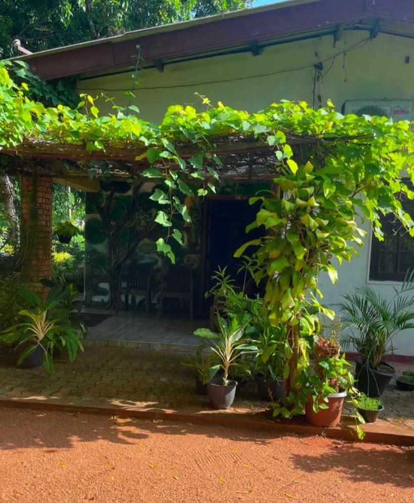 Olivia Homestay 아누라다푸라 외부 사진
